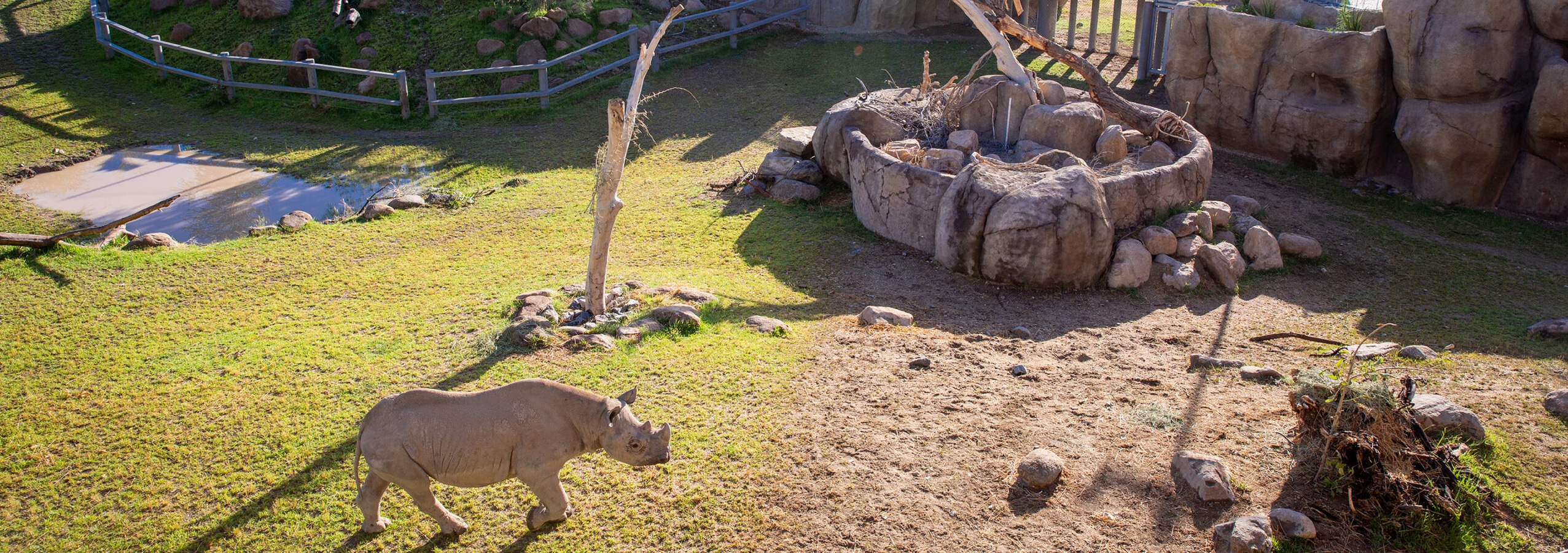 Image de Savane